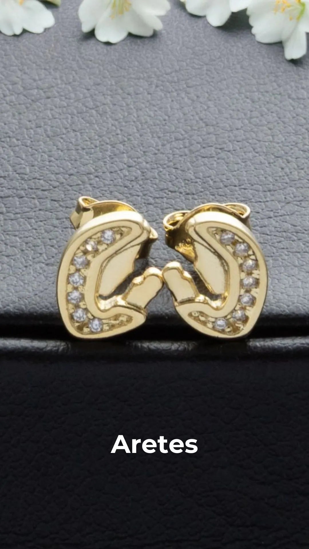 ARETES